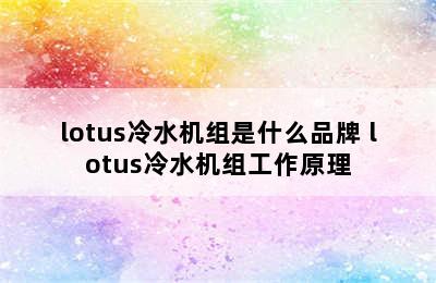 lotus冷水机组是什么品牌 lotus冷水机组工作原理